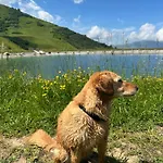 Апарт-отель Am Dorfplatz 4*