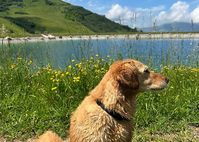 Lejlighedshotel Am Dorfplatz 4*