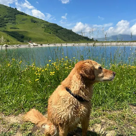 Appart hôtel Am Dorfplatz 4*